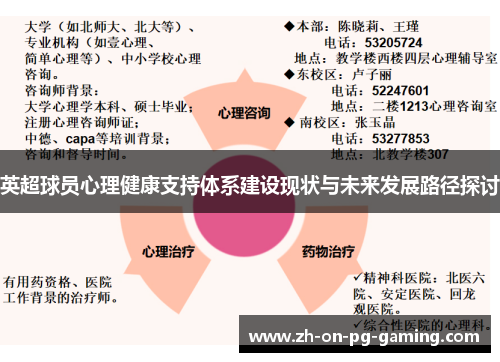 英超球员心理健康支持体系建设现状与未来发展路径探讨